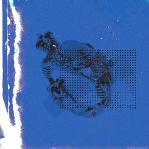 国产一区二区高清无码视频
