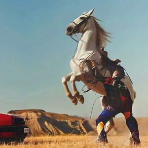 国产一区二区高清无码视频
