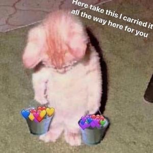 国产一区二区高清无码视频
